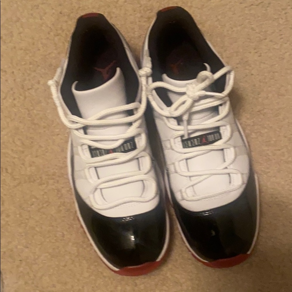 Concord bred 11